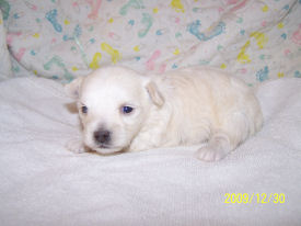 click here to see me grow