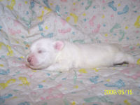 click here to see me grow