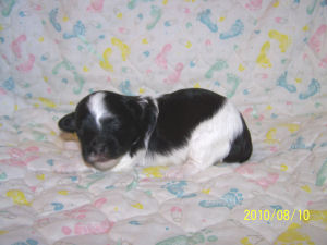 click here to see me grow