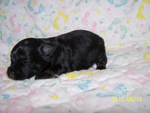 click here to see me grow